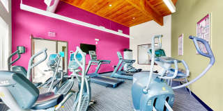 Shoreview Grand Gallery 15