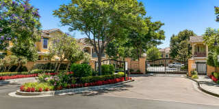 Paseo del Sol Charmer with Private Yard and Community Pool Gallery 11