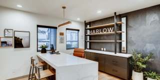 The Harlow Gallery 41