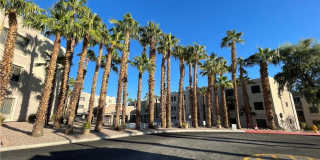 2040 Mesquite Lane Gallery 1