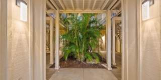 2224 BAHIA VISTA STREET Gallery 24