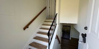 813 Ridge Street - Pet Friendly Charlottesville Home! Gallery 8