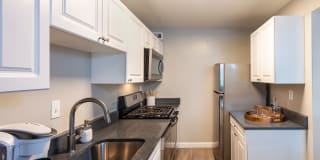 Dominion Plaza Gallery 1