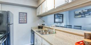 The Madrid Gallery 41