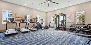 Alta Center Point Gallery 18