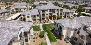 Olympus Alameda Gallery 45