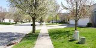 16841 Loch Gallery 21
