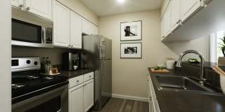 A/62 Apartments Gallery 2