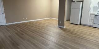 3811 Bluff Gallery 6