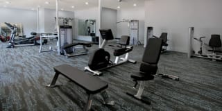 Tanglewood Gallery 31