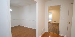 Renovated 5BR Home Minutes from Downtown Columbia | Two Full Kitchens + Fenced Yard ~ Available May 2026! Gallery 15