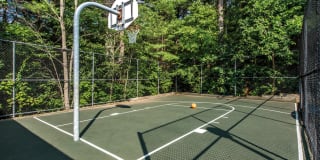 Katahdin Woods Gallery 6