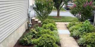 121 LEWISVILLE COURT Gallery 1
