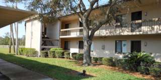 Condo in East Lake Woodlands Gallery 3