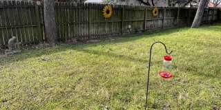 Upgrade your lifestyle in 2026! Gallery 11