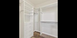 1087 Luna Eclipse Lane Gallery 21