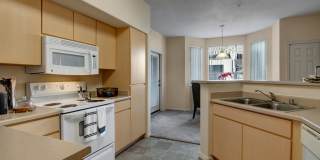 Sonoma Landing Gallery 4