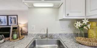 The Paxton Gallery 11