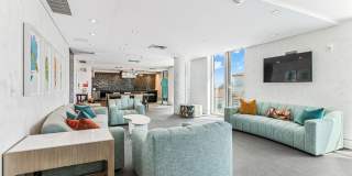 The Henry Gallery 19