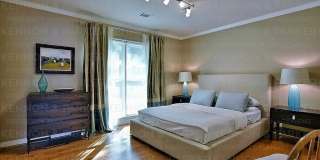 1057 Standing Boy Ct Gallery 18
