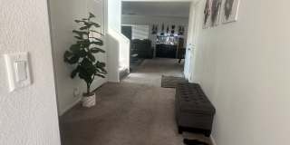1378 Rockcress Lane Gallery 7