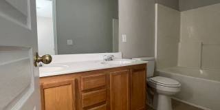 RoyalCeladon6454 Gallery 15