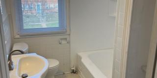 3 Bedroom Home with Basement and yard Gallery 6