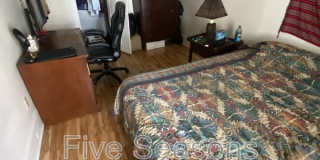 18-20 Hayward Street - 1 Gallery 8