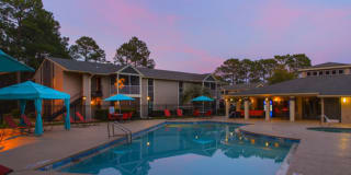 The Lory of Panama City Gallery 5