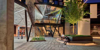 Olive Gallery 31