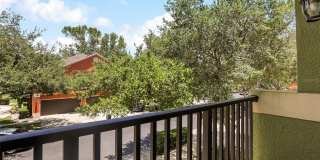 3310 PINE OAK Trail Gallery 21