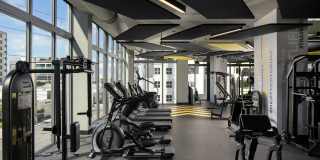 Core Link at Douglas Gallery 12