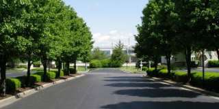 Park Terrace Gallery 23