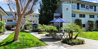 The Madrid Gallery 17