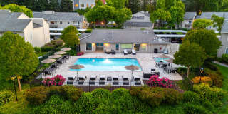 The Seasons Gallery 28