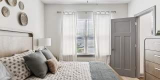 Hawthorne at Pine Forest Gallery 50