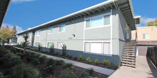 The Canopy Gallery 32