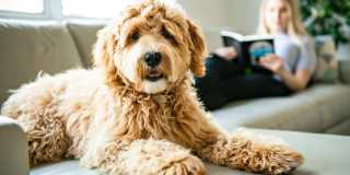 Avelyn Manor Gallery 14