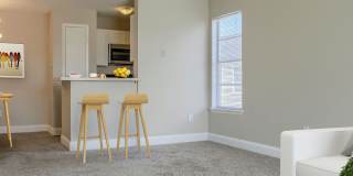 Laguna Creek Gallery 2