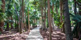 12999 Odessa Trail Gallery 21