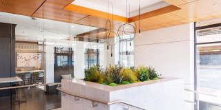 IO Piazza by Windsor Gallery 14
