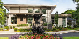 Lumin East Cobb Gallery 26