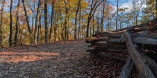 Windsor Kennesaw Gallery 42