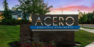 Acero Ridgefield Gallery 28