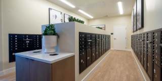 Alta Merita Gallery 25