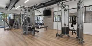 The M at Shadow Mountain Gallery 19