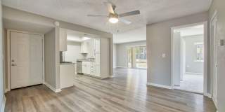 Buena Vista Gallery 29