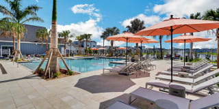 The Sophia Gallery 8