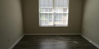 Landmark Point Gallery 7