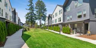 Fir Grove Gallery 28